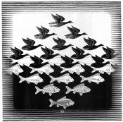 Escher, Peces y Pajaros